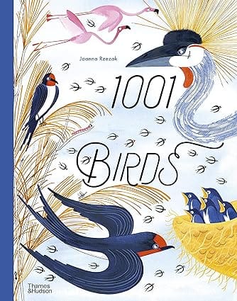 1001 Birds 3