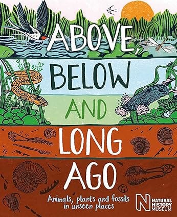 Above, Below And Long Ago Animals, Plants And Fossils In Unseen Places