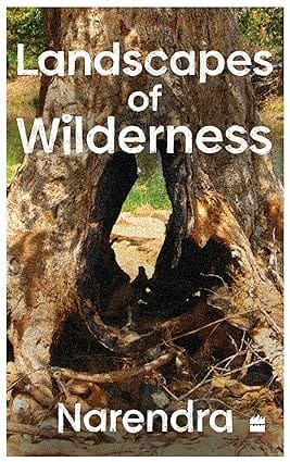 Landscapes Of Wilderness Meditations On The World That We Live In