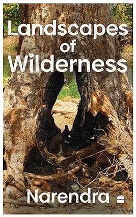 Landscapes Of Wilderness Meditations On The World That We Live In