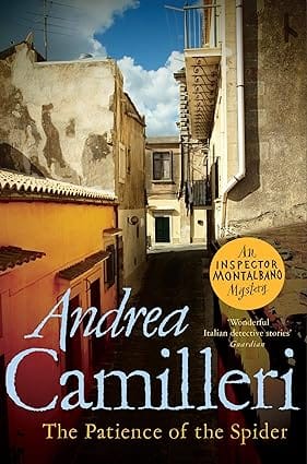 The Patience Of The Spider