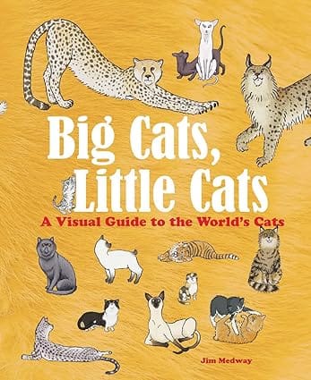 Big Cats, Little Cats A Visual Guide To The Worlds Cats (big And Little)