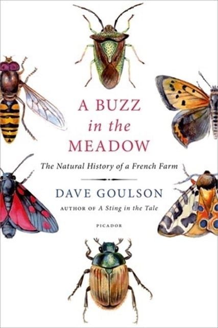 A Buzz In The Meadow