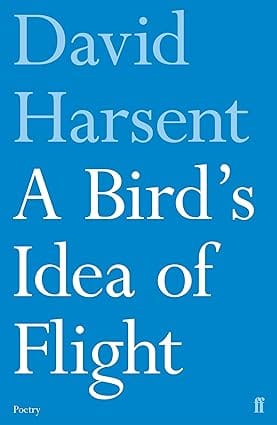 A Birds Idea Of Flight