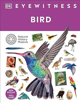 Bird (dk Eyewitness)