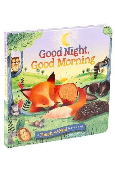 Good Night Good Morning A Touch And Feel Bedtime Book
