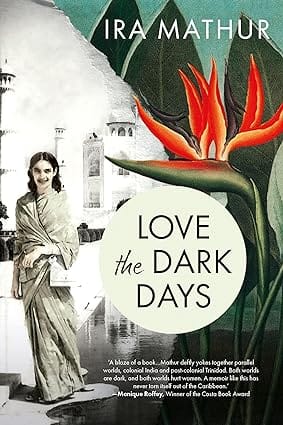 Love The Dark Days