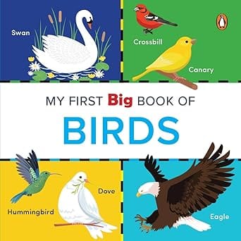 My First Big Book Of Birds