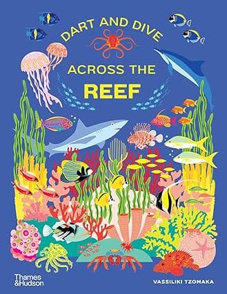 Dart And Dive Across The Reef