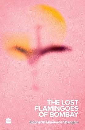 The Lost Flamingoes Of Bombay