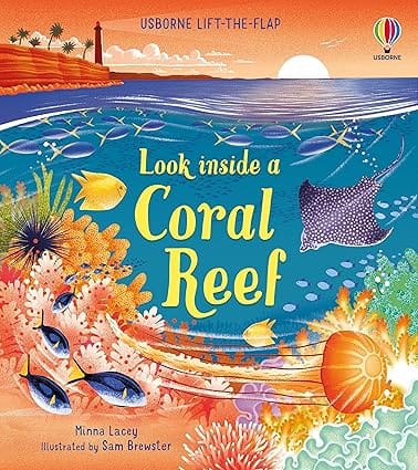 Look Inside A Coral Reef