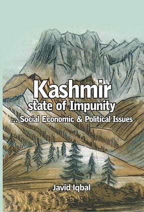 Kashmir A State Of Impunity Social Economic And Political Issues