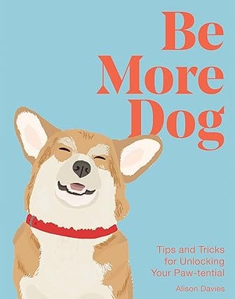 Be More Dog Tips And Tricks For Unlocking Your Paw-tential