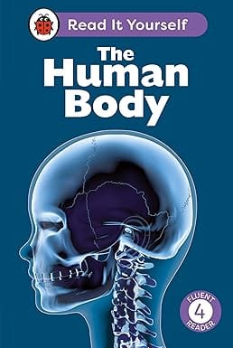 The Human Body