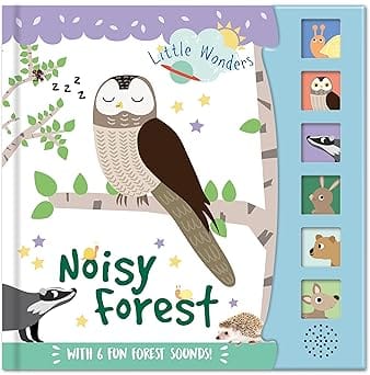 Noisy Forest Little Wonders