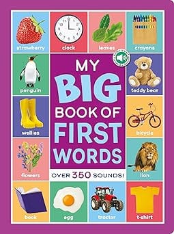 My Big Book Of First Words