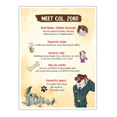 Detective Col Zero The Petha And The Missing Brigadier