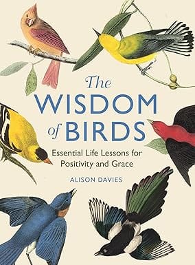 The Wisdom Of Birds Essential Life Lessons For Positivity And Grace