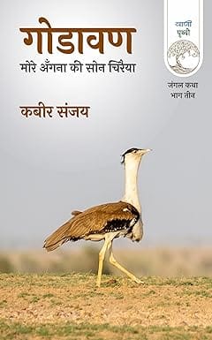 Godavan More Angana Ki Son Chiraiya