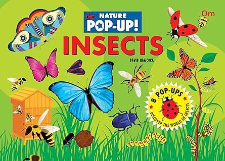 Insects Pop-up Book For Kids