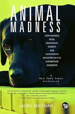 Animal Madness