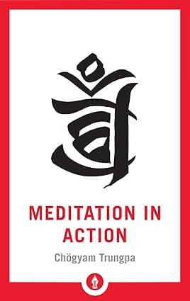 Meditation In Action