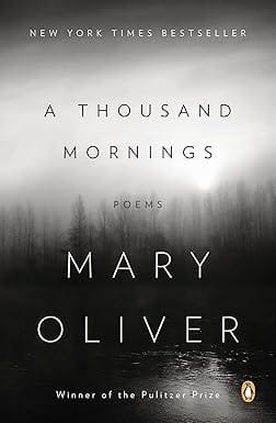 A Thousand Mornings Poems