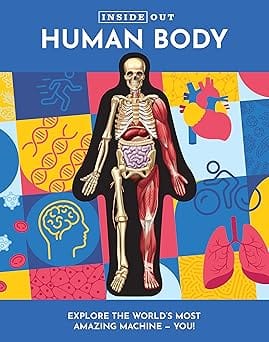 Inside Out Human Body Volume 1