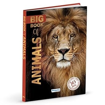 Big Book Of Animals