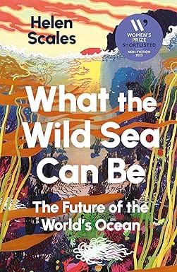 What The Wild Sea Can Be