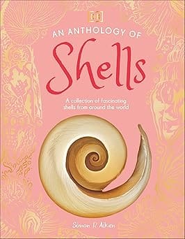 An Anthology Of Shells A Collection Of Fascinating Shells From Around The World
