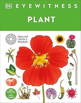 Eyewitness Plant