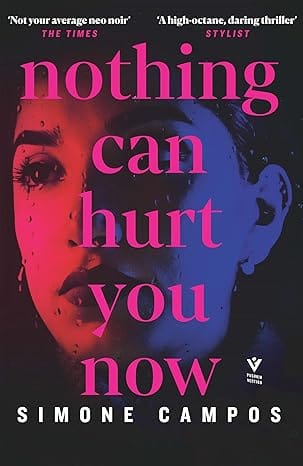 Nothing Can Hurt You Now (pushkin Vertigo)