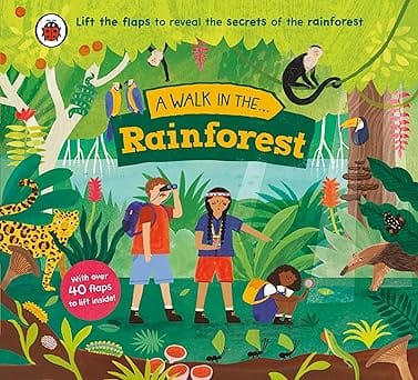 A Walk In The Rainforest