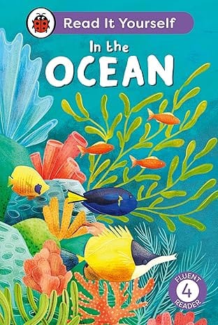 In The Ocean