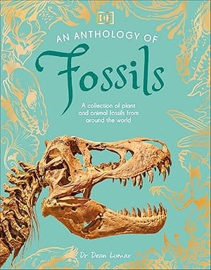 An Anthology Of Fossils A Collection Of Plant And Animal Fossils From Around The World