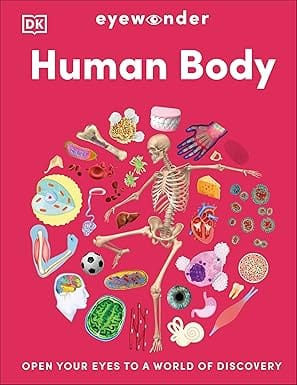 Eyewonder Human Body Open Your Eyes To A World Of Discovery