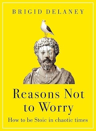 Reasons Not To Worry How To Be Stoic In Chaotic Times