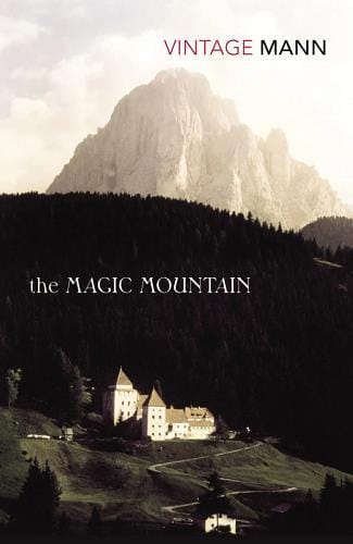 The Magic Mountain (vintage Classics)