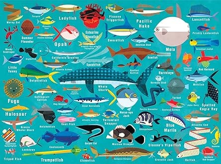 Ocean Life 1000pc Family Puzzle En 1999-1-1 And -1-4