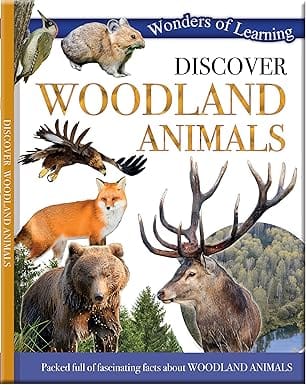 Woodland Animals