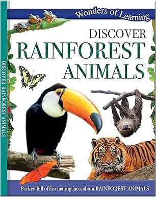 Rainforest Animals