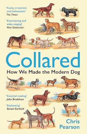 Collared How We Made The Modern Dog
