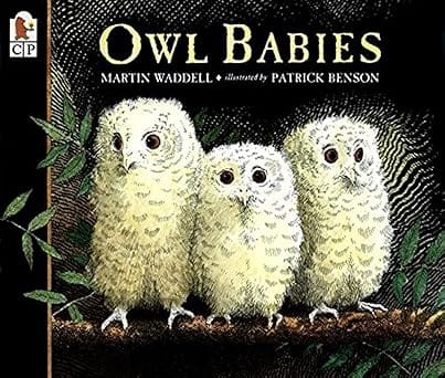 Owl Babies