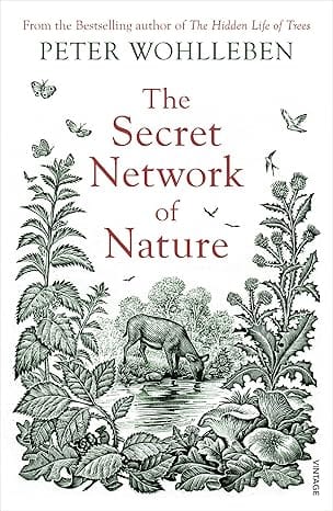 The Secret Network Of Nature