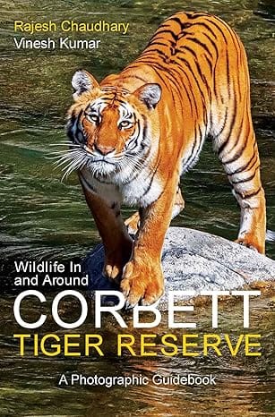 Wildlife In And Around Corbett Tiger Reserve A Photographic Guidebook