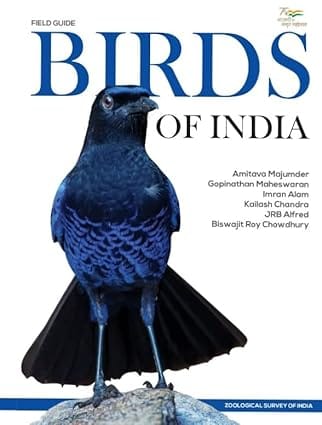 Field Guide Birds Of India