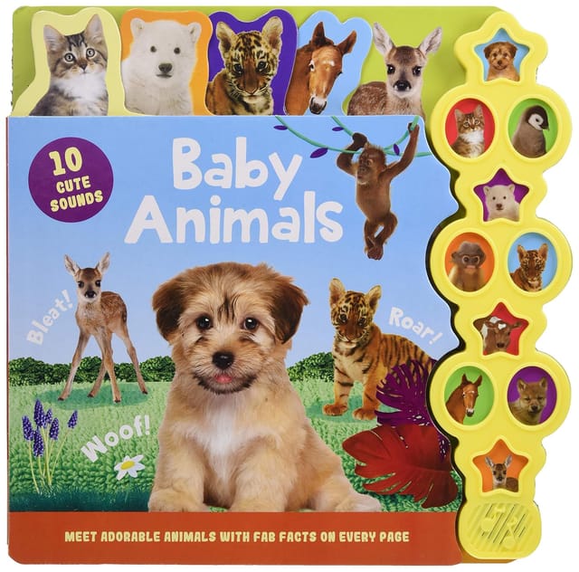 Baby Animals
