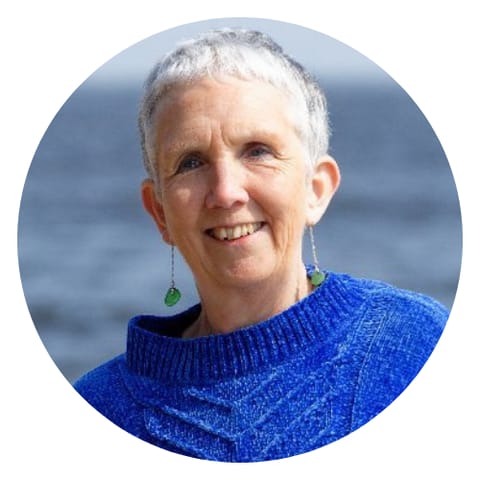 Ann Cleeves