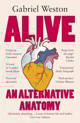 Alive An Alternative Anatomy